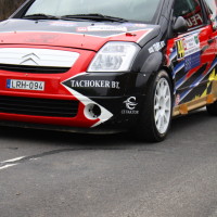 Rebenlandrallye 2013 133