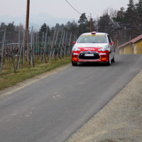 Rebenlandrallye 2013 21