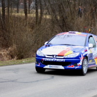 Rebenlandrallye 2013 217