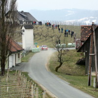 Rebenlandrallye 2013 32