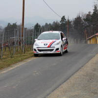 Rebenland Rallye Peugeot 207 Alois Handler