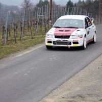 Rebenlandrallye 2013 51