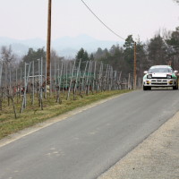 Rebenlandrallye 2013 Toyota Celica