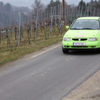 Rebenlandrallye 2013 60