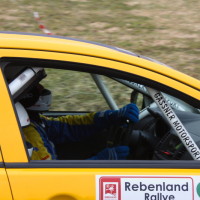 Rebenlandrallye 2013 Mitsubishi Lancer EVO X Hermann Gassner