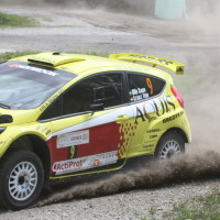 Schneebergland Rallye 2013 Ford Fiesta S2000 Olle Szasz Steine