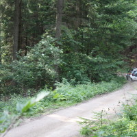 Schneebergland Rallye 2013 VW Polo Kris Rosenberger SP 11 Schwarzau im Gebierge