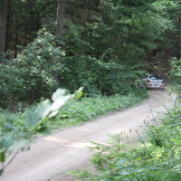 Schneebergland Rallye 2013 MIchael Böhm Suzuki Swift SP 11 Schwarzau