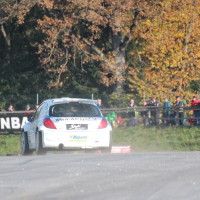 ROAC 2013 Andreas Aigner Peugeot 207 S2000