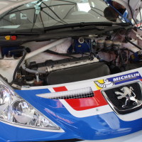 Rebenland Rallye 2014 Peugeot 207 S2000 Walter Mayer Service Motor