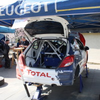 Rebenland Rallye 2014 Peugeot 207 R3T Alois Handler Service
