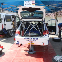 Rebenland Rallye 2014 Peugeot 206 RC Alfred Leitner Service 