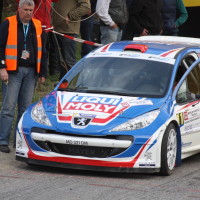 Rebenland Rallye 2014 Peugeot 207 S2000 Walter Mayer SP 12