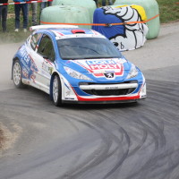 Rebenland Rallye 2014 Peugeot 207 S2000 Walter Mayer SP 12