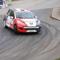 Rebenland Rallye 2014 Peugeot 207 R3T Alois Handler SP 12