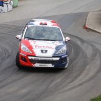 Rebenland Rallye 2014 Peugeot 207 R3T Alois Handler SP 12