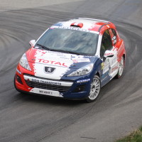 Rebenland Rallye 2014 Peugeot 207 R3T Alois Handler SP 12