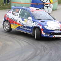 Rebenland Rallye 2014 Peugoet 206 RC Alfred Leitner SP11