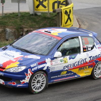 Rebenland Rallye 2014 Peugoet 206 RC Alfred Leitner SP11