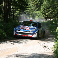 Schneebergland Rallye 2014 Peugeot 207 S2000 Walter Mayer