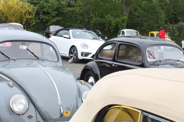 VW Käfertreffen Eggenburg 2015