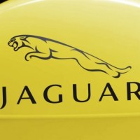 Jaguar Aufkleber